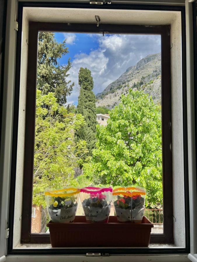 Apartment Kiki Kotor Luaran gambar